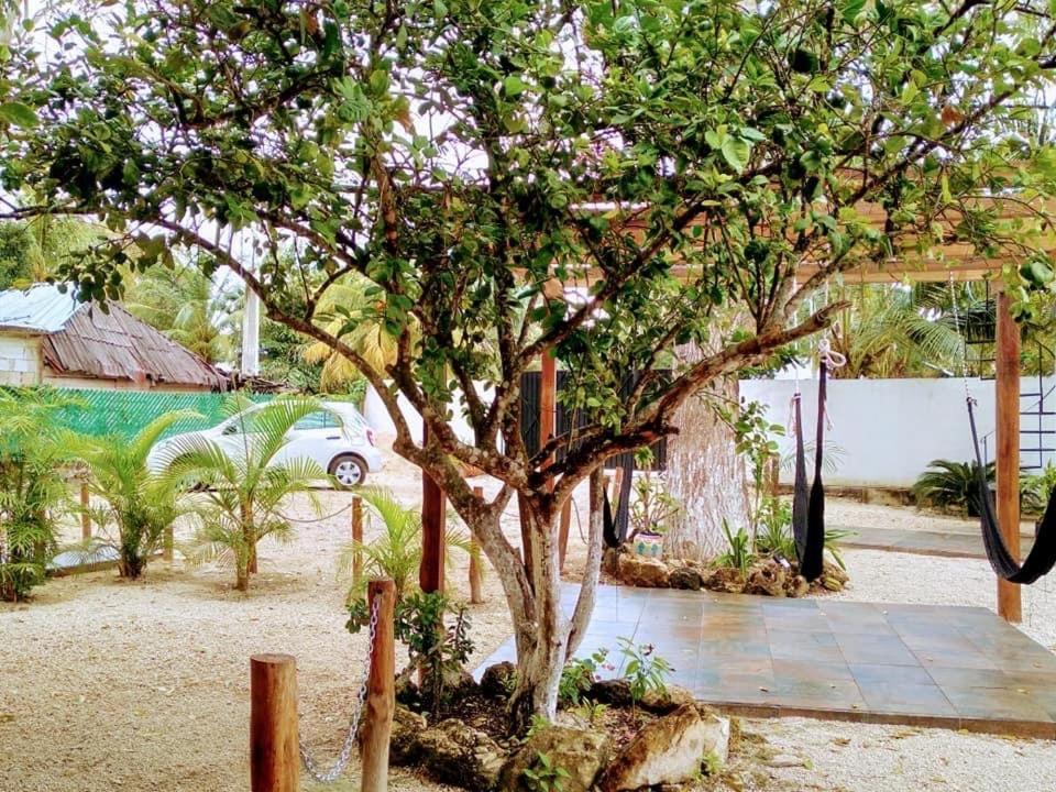 Cedro Rojo Hotel Bacalar Bagian luar foto